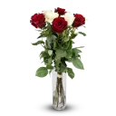 Flowers of ecuadorian roses